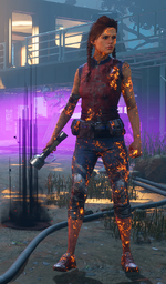image (12).png