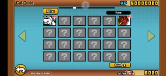 09.jpg