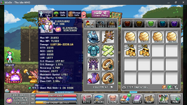 FULL Damage Set.png