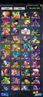 Screenshot_20230413_141015_DB LEGENDS.jpg
