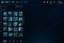 skins.JPG
