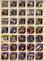 IMG_2984.jpeg