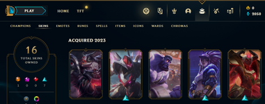 skins 3.png