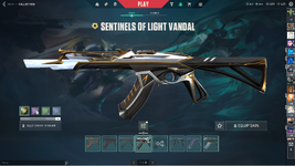 vandal skins.png