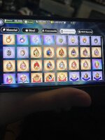 IMG_2734.jpeg