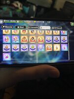 IMG_2735.jpeg