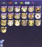 IMG_3637.jpeg