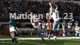 madden_副本.jpg