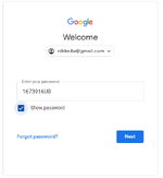 Google Log in Screen.png