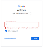 Google Wrong Password screen.png