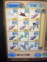 IMG_5016.jpeg
