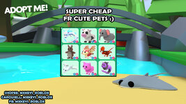 FR CUTES PETS.jpg