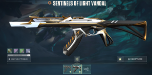 image (23).png