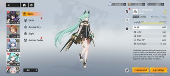 Screenshot_2023-06-20-23-06-55-213_com.YoStar.AetherGazer.jpg