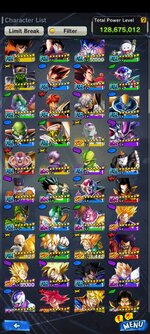 Screenshot_2023-06-28-19-48-54-335_com.bandainamcoent.dblegends_ww.jpg