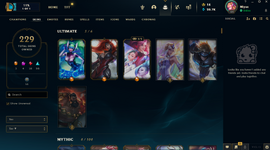 Skins.png