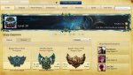 Account overview.jpg