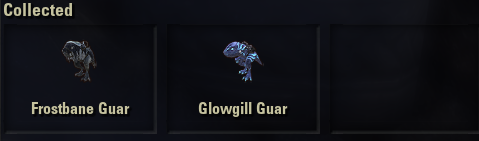 mount_guar.png