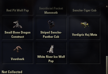 pets_exotic_3.png