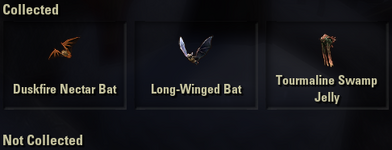 pets_flying.png