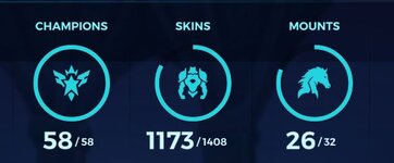 Skins Mounts.JPG