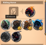 riding horse skin.png