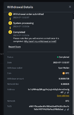 BTCPaymentSticky.png