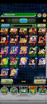 Screenshot_2023-07-19-21-48-41-656_com.bandainamcogames.dbzdokkanww.jpg