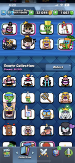 IMG_7004.png