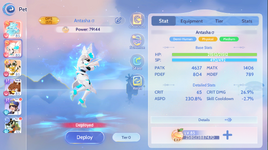 PET 2.png