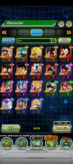Screenshot_2023-07-28-13-31-44-848_com.bandainamcogames.dbzdokkanww.jpg