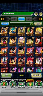 Screenshot_2023-08-01-08-20-17-960_com.bandainamcogames.dbzdokkanww.jpg
