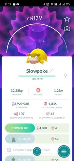 shiny slowpoke.jpg