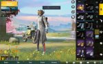 12.jpg