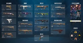 skins.jpg