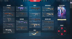whyso inventory 1 .png