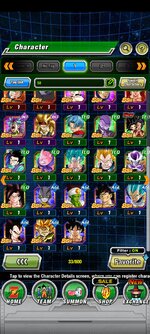 Screenshot_2023-08-23-19-04-06-793_com.bandainamcogames.dbzdokkanww.jpg
