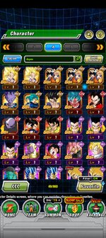 Screenshot_2023-08-28-12-03-45-001_com.bandainamcogames.dbzdokkanww.jpg