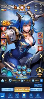 Paladin.jpeg
