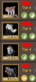 Pet 2.JPG