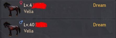 Dream.JPG