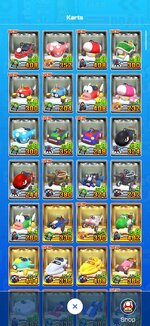 Screenshot_20230911_142535_Mario Kart2.jpg