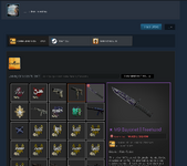steamccountknigfe.png