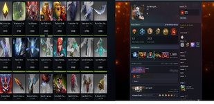 Dota 2 info.png