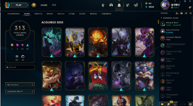 LEAGUE SKINS.PNG