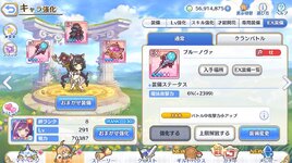 05. Kyaru.jpg