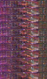 collage1.jpg