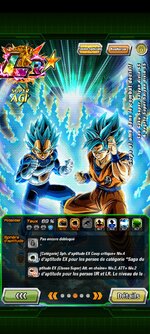 Screenshot_2023-09-23-15-59-14-939_com.bandainamcogames.dbzdokkanww.jpg