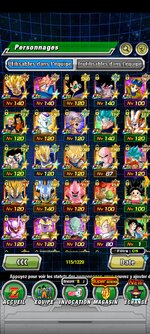 Screenshot_2023-09-23-15-59-38-472_com.bandainamcogames.dbzdokkanww.jpg