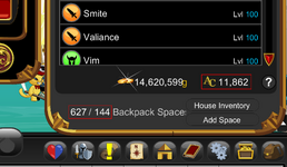 Bag and Acs.png